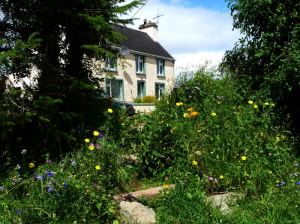 photo of house with wild flowers